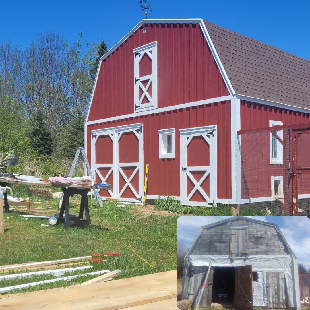 barn structural repairs, refinishing and painting